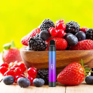 【漿果】LANA 2000口一次性電子煙 LANA PEN抛棄式電子煙